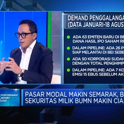 Bos Sekuritas BUMN Ungkap 
