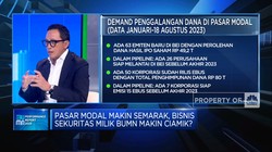 Bos Sekuritas BUMN Ungkap