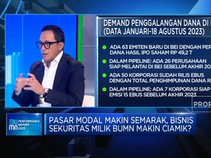 Bos Sekuritas BUMN Ungkap 