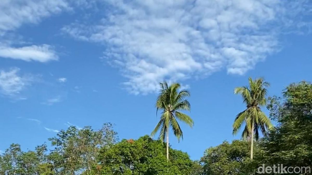 Prakiraan Cuaca Makassar Besok 7 September 2026: Pagi Cerah Berawan, Waspada Suhu Udara Panas!