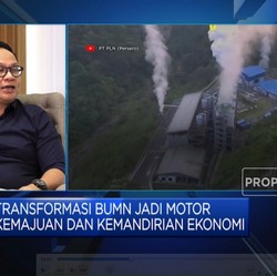 Peran BUMN Ini Bisa Bikin RI Maju & Mandiri