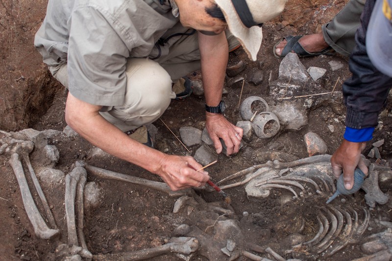 Para arkeolog dari Proyek Arkeologi Pacopampa bekerja di situs makam berusia 3.000 tahun yang mereka yakini mungkin menghormati seorang pemimpin agama elit di negara Andean sekitar tiga milenium lalu, di Pacopampa, Peru, 26 Agustus 2023. Para arkeolog dari Proyek Arkeologi Pacopampa bekerja di situs makam berusia 3.000 tahun yang mereka yakini mungkin menghormati seorang pemimpin agama elit di negara Andean sekitar tiga milenium lalu, di Pacopampa, Peru, 26 Agustus 2023. (Ministry of Culture of Peru/Handout via REUTERS)