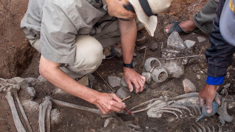 Para arkeolog dari Proyek Arkeologi Pacopampa bekerja di situs makam berusia 3.000 tahun yang mereka yakini mungkin menghormati seorang pemimpin agama elit di negara Andean sekitar tiga milenium lalu, di Pacopampa, Peru, 26 Agustus 2023. (Ministry of Culture of Peru/Handout via REUTERS)