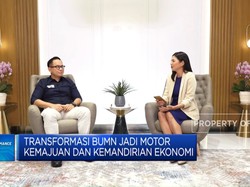 Wamen BUMN Soal Merger Garuda Cs, Akhir Tahun 2023 Selesai!
