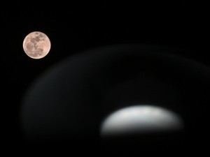 Ketinggalan Flower Moon? Tenang, Ada Fenomena Blue Moon Akhir Mei Nanti