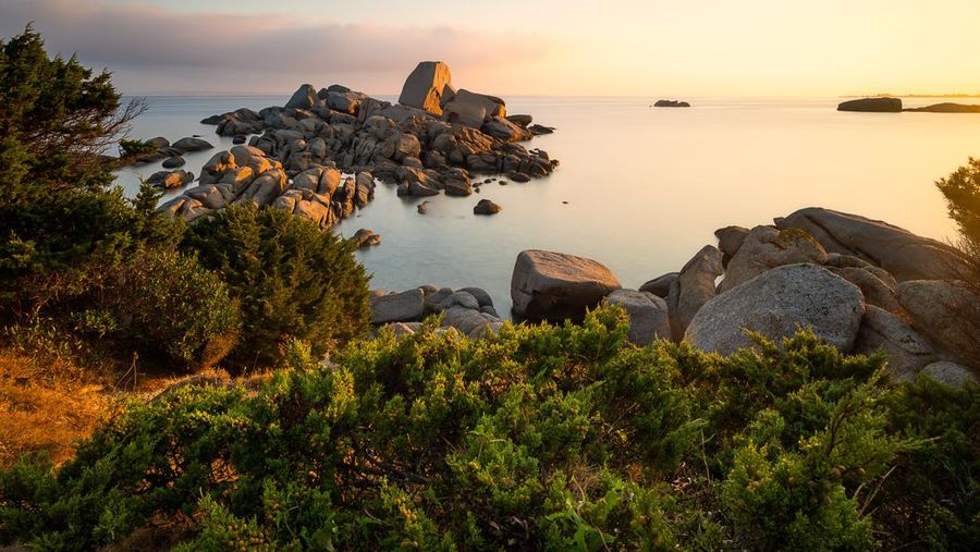 Sardinia Italia. (Simone Coltri/pexels.com)