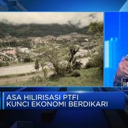 Ungkap Tantangan Penambangan Freeport Hingga Progres Smelter