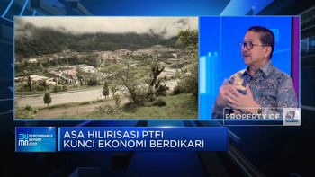 Ungkap Tantangan Penambangan Freeport Hingga Progres Smelter