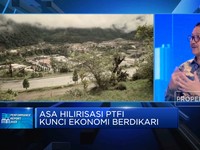 Ungkap Tantangan Penambangan Freeport Hingga Progres Smelter