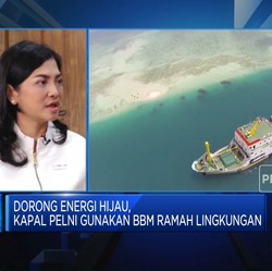 Bye Kapal Tua, Pelni Ajukan PMN Penggantian Kapal