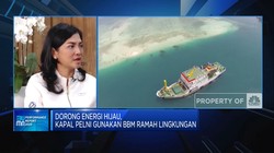 Bye Kapal Tua, Pelni Ajukan PMN Penggantian Kapal