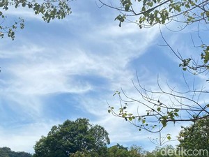 Cuaca Makassar Besok 23 Juli: Siang-Sore Diprakirakan Cerah Berawan