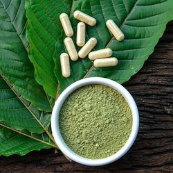 Daun Surga dari Kalimantan Ini Diburu Dunia, Apa Khasiatnya?