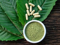 Daun Surga dari Kalimantan Ini Diburu Dunia, Apa Khasiatnya?