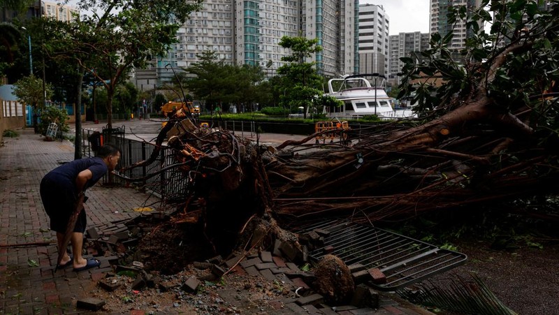 A man walks near fallen trees following Super Typhoon Saola, in Hong Kong, China September 2, 2023. REUTERS/Tyrone Siu