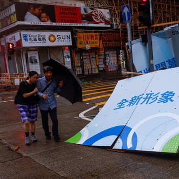 Potret Malapetaka Ngeri Hantam Hong Kong, Pohon Bertumbangan