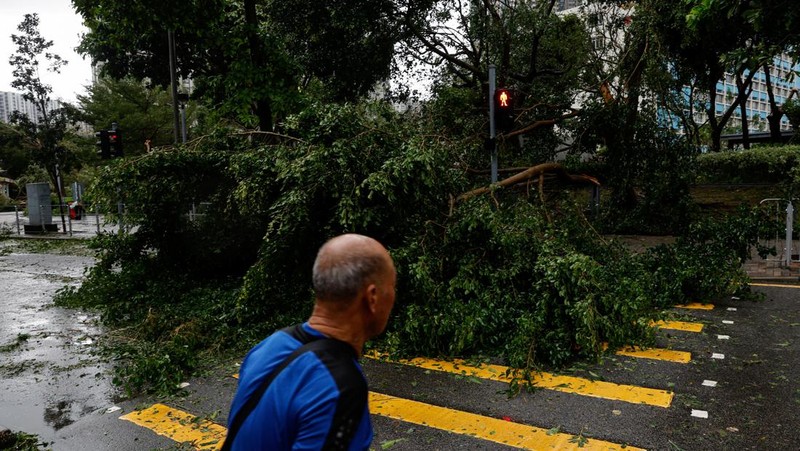 A man walks near fallen trees following Super Typhoon Saola, in Hong Kong, China September 2, 2023. REUTERS/Tyrone Siu
