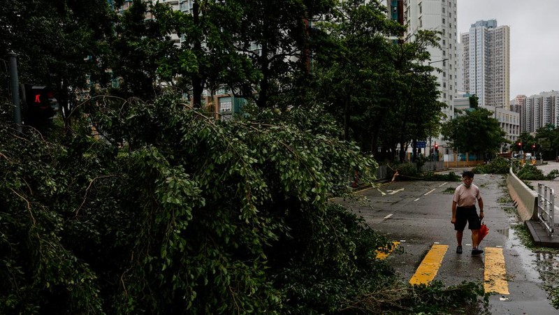 A man walks near fallen trees following Super Typhoon Saola, in Hong Kong, China September 2, 2023. REUTERS/Tyrone Siu