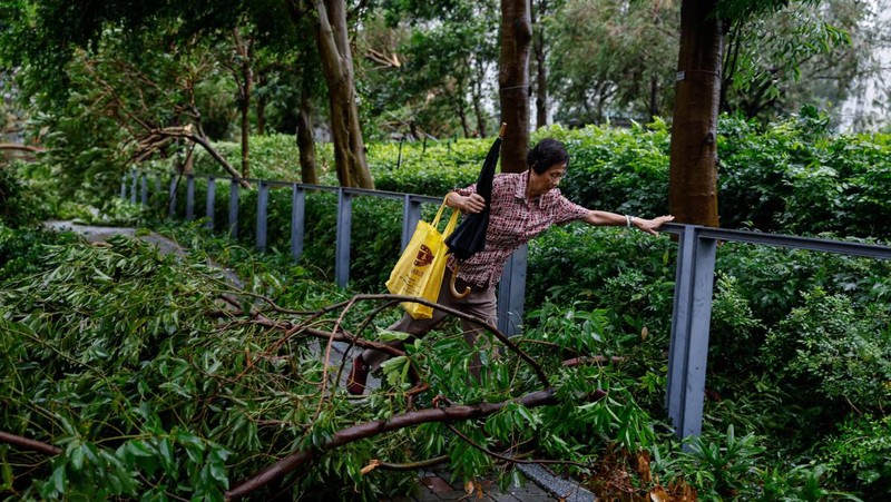 A man walks near fallen trees following Super Typhoon Saola, in Hong Kong, China September 2, 2023. REUTERS/Tyrone Siu