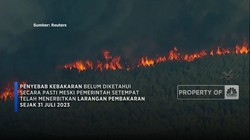 Kebakaran Landa Hutan di Texas AS, 500 Hektar Lahan Hangus