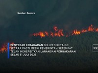 Kebakaran Landa Hutan di Texas AS, 500 Hektar Lahan Hangus