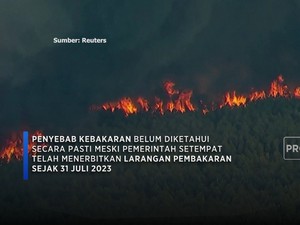 Kebakaran Landa Hutan di Texas AS, 500 Hektar Lahan Hangus