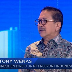 Freeport Bisa Setor ke Negara Rp 1.200 Triliun Sampai 2041