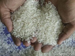 HPP Gabah & Beras Naik hingga 30 Juni, Ini Rinciannya