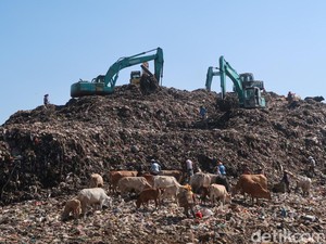 Proyek Sulap Sampah Jadi Listrik Dibangun di Jogja, Bisa Olah 12 Ton Sehari