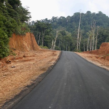 Di Tangan Jokowi, Jalan Perbatasan Dekat Malaysia Kini Mulus