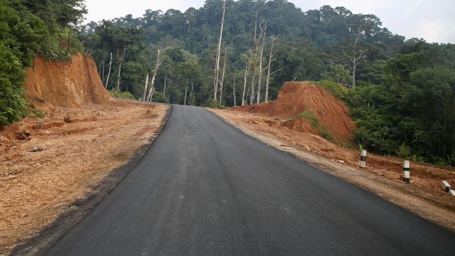 Menteri PUPR Basuki Hadimuljono bersama Ketua Komisi V DPR RI Lasarus dan Bupati Kapuas Hulu Fransiscus Diaan meninjau pembangunan Jalan Paralel Perbatasan Kalimantan Barat pada Minggu (3/9/2023). (Dok. Kementerian PUPR)