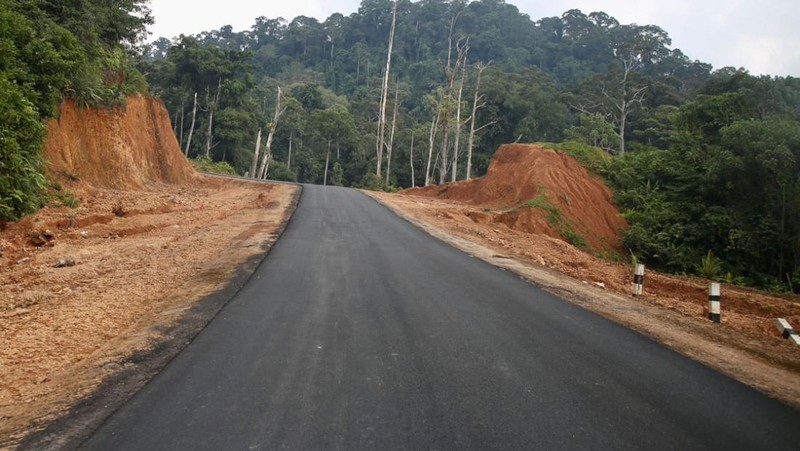 Menteri PUPR Basuki Hadimuljono bersama Ketua Komisi V DPR RI Lasarus dan Bupati Kapuas Hulu Fransiscus Diaan meninjau pembangunan Jalan Paralel Perbatasan Kalimantan Barat pada Minggu (3/9/2023). (Dok. Kementerian PUPR)