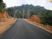Di Tangan Jokowi, Jalan Perbatasan Dekat Malaysia Kini Mulus