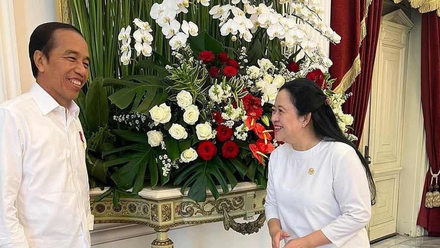 Pertemuan Presiden Joko Widodo dengan Ketua DPR RI Puan Maharani. (Instagram @puanmaharaniri)