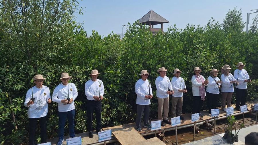 PT Bukit Asam Tbk (PTBA) turut serta dalam Aksi Tanam Mangrove #Kerja Bersama Hijaukan Indonesia yang digelar Kementerian Koordinator Bidang Kemaritiman dan Investasi (Kemenko Marves) dalam rangka memperingati Hari Mangrove Sedunia dan Hari Ulang Tahun (HUT) ke-78 Kemerdekaan Indonesia. Kegiatan ini dipusatkan di Ketapang Urban Aquaculture, Mauk, Tangerang pada Kamis (31/8/2023). (Dok. PTBA)