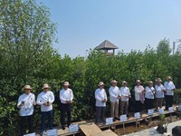 Kolaborasi dengan Pemerintah, PTBA Ikut Aksi Tanam Mangrove