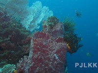 Harta Karun Baru Muncul dari Laut RI, Trenggono Langsung Gerak Cepat