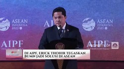 Erick Thohir Tegaskan BUMN Jadi Solusi di ASEAN