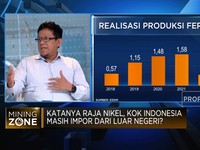 Jadi Raja Nikel Tapi Indonesia Impor Bijih Nikel, Kok Bisa?