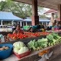Di Sini 1 kg Telur Dijual Rp 51.000, Ayam Rp 60.000