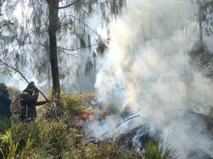 Sisa Bara Api Kembali Membakar Gunung Arjuno di Pasuruan