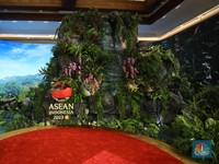 Hutan Hujan Tropis Muncul di JCC Selama ASEAN, Tanaman Asli