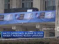 NATO Diprediksi Bubar Di 2025 Akibat Perang Rusia-Ukraina