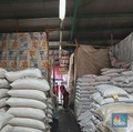 Rekor! Harga Beras Diramal Tembus Rp1 Juta/Karung Akhir Tahun