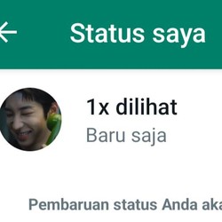 Status WhatsApp Kini Jadi Update-Pembaruan, Ini Penjelasannya