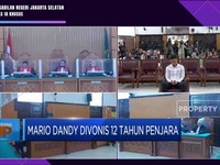 Mario Dandy Divonis 12 Tahun Penjara