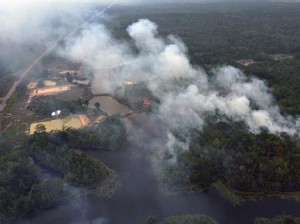 Hutan Amazon Terbakar, Masyarakat Adat Terancam
