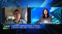 Harga Beras Sudah Naik 13%,  Masih Wajar Atau Tak Normal?