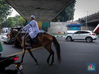 Penampakan Langka Pria Berkuda di Tengah Lalu Lintas Jakarta