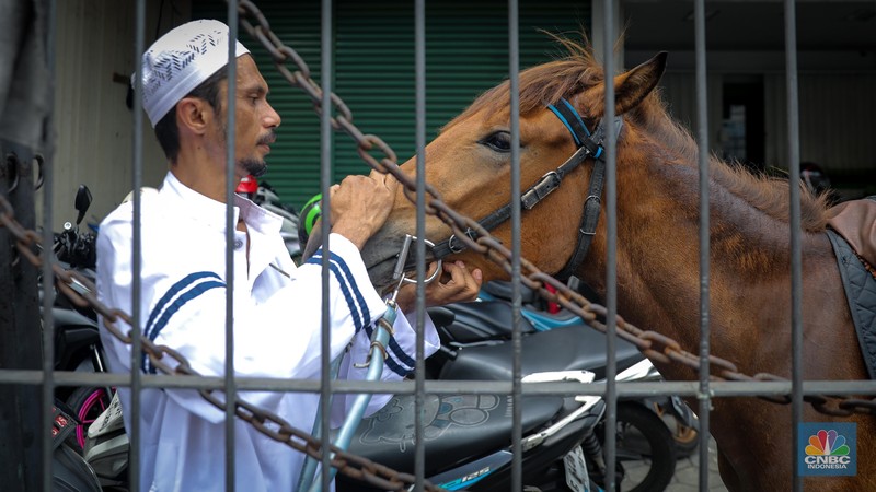Seorang pria bernama Abdullah nampak menunggangi kuda saat melintas di Jalan Dewi Sartika, Jakarta Timur, Jumat (8/9/2023). (CNBC Indonesia/Faisal Rahman)